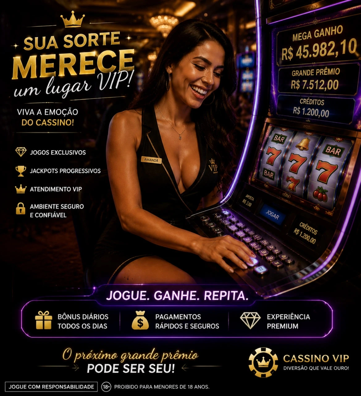 Programa VIP Notebookpg